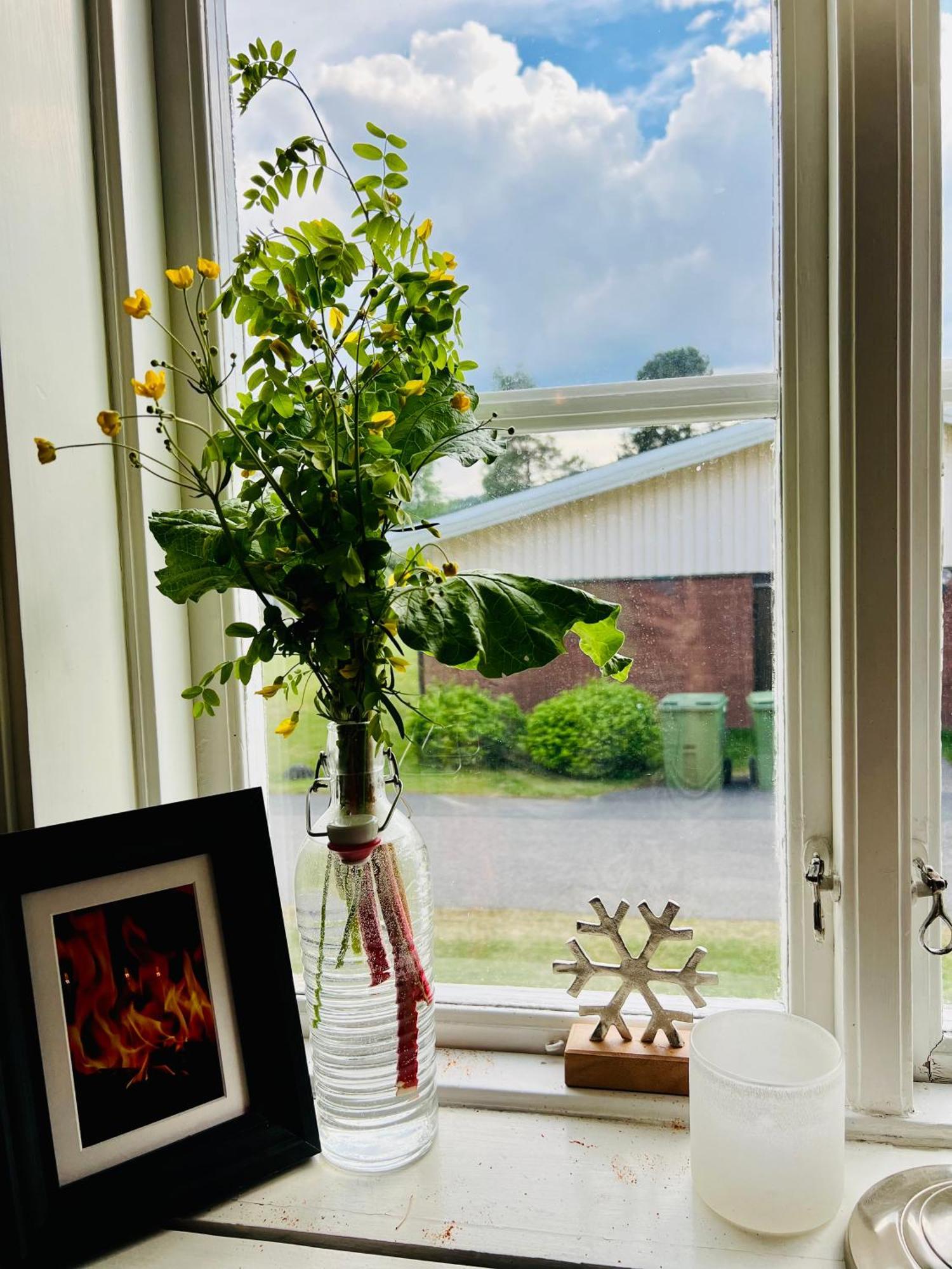 Lapland Lodge อาวิดเชล ภายนอก รูปภาพ